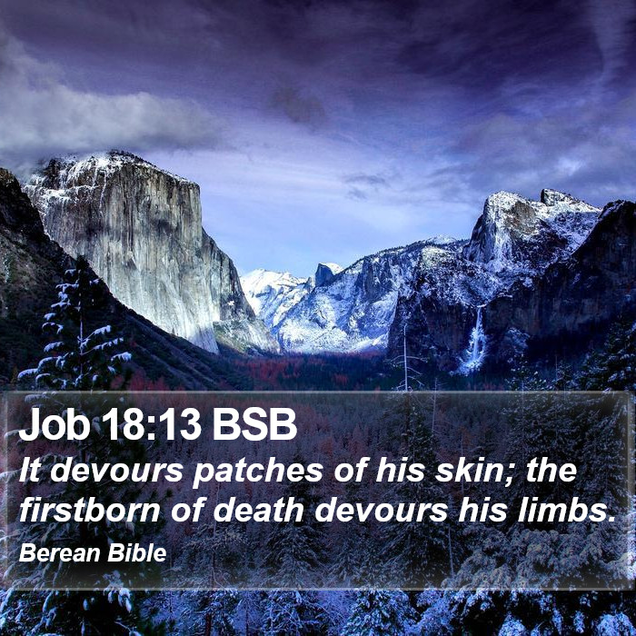 Job 18:13 BSB Bible Study