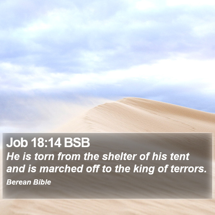 Job 18:14 BSB Bible Study