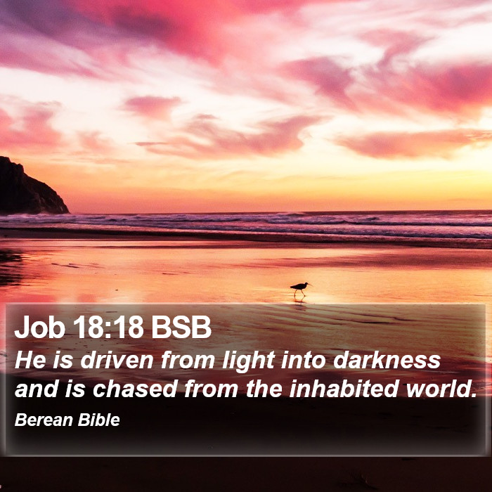 Job 18:18 BSB Bible Study