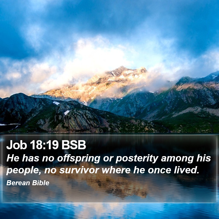 Job 18:19 BSB Bible Study