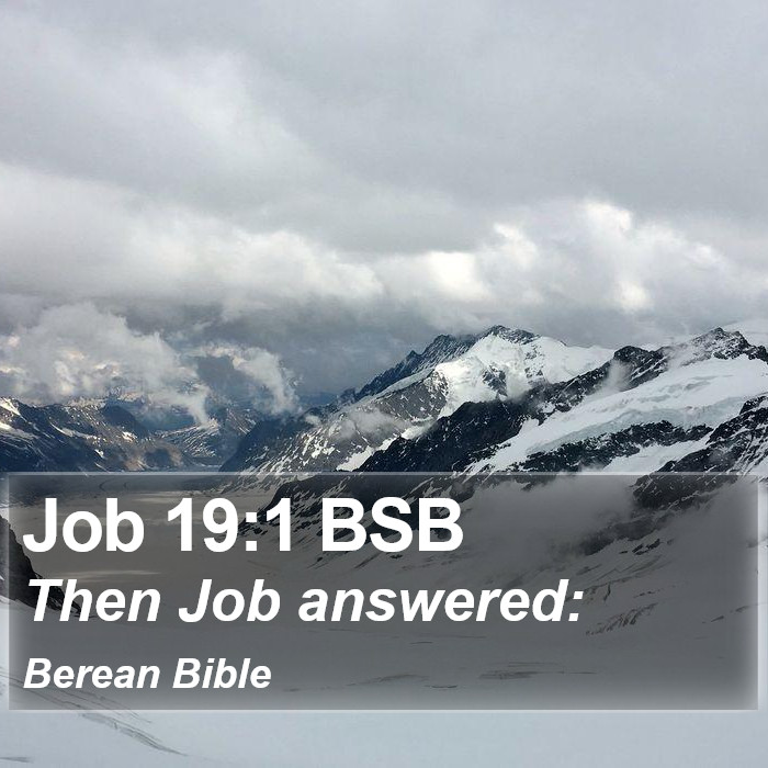 Job 19:1 BSB Bible Study