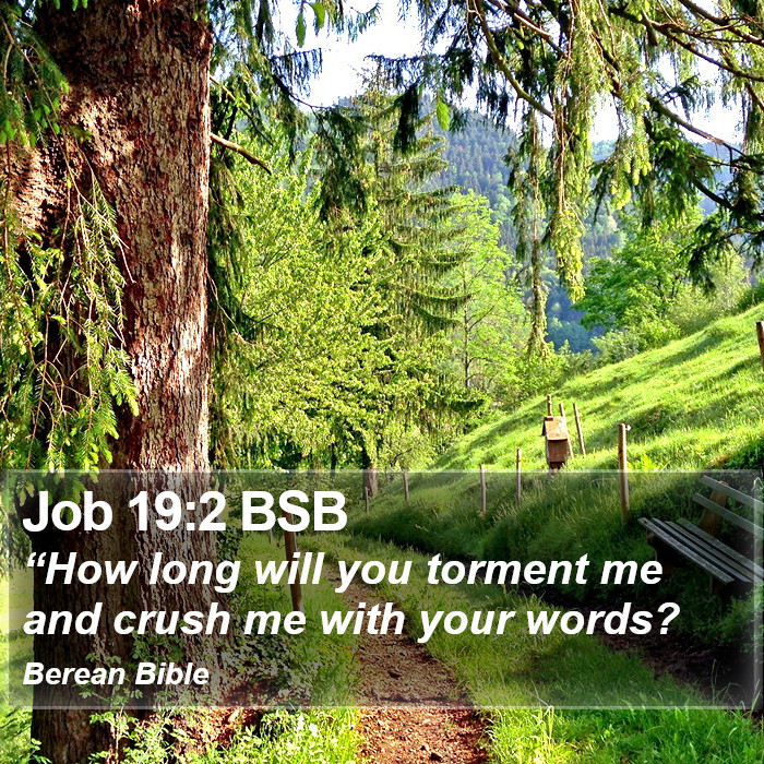 Job 19:2 BSB Bible Study