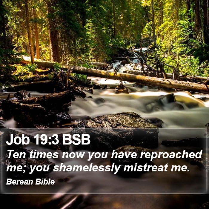 Job 19:3 BSB Bible Study