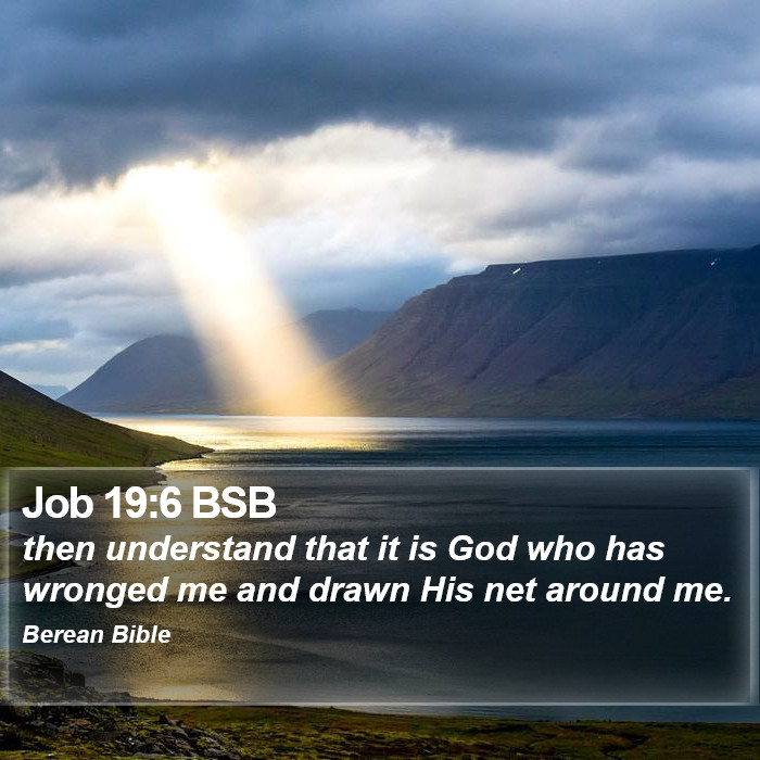 Job 19:6 BSB Bible Study