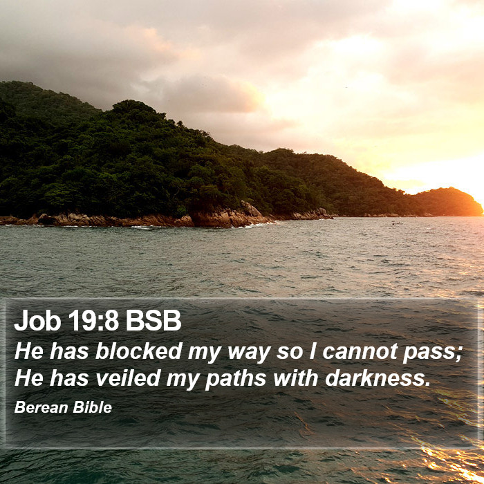 Job 19:8 BSB Bible Study