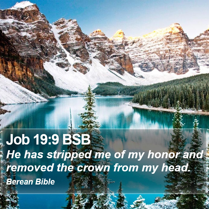 Job 19:9 BSB Bible Study