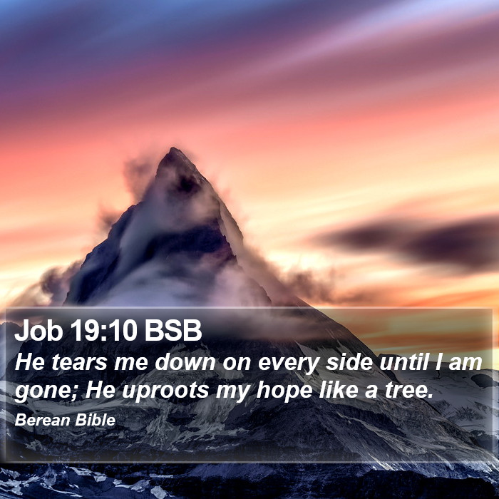 Job 19:10 BSB Bible Study