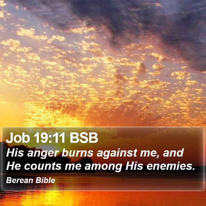 Job 19:11 BSB Bible Study