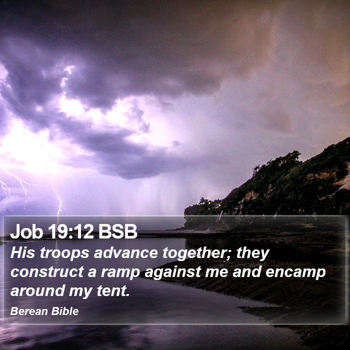 Job 19:12 BSB Bible Study