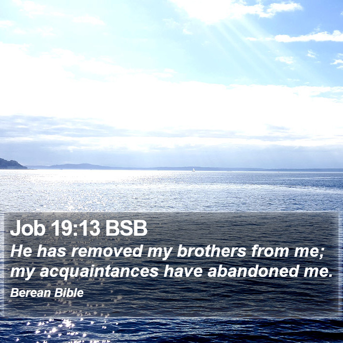 Job 19:13 BSB Bible Study