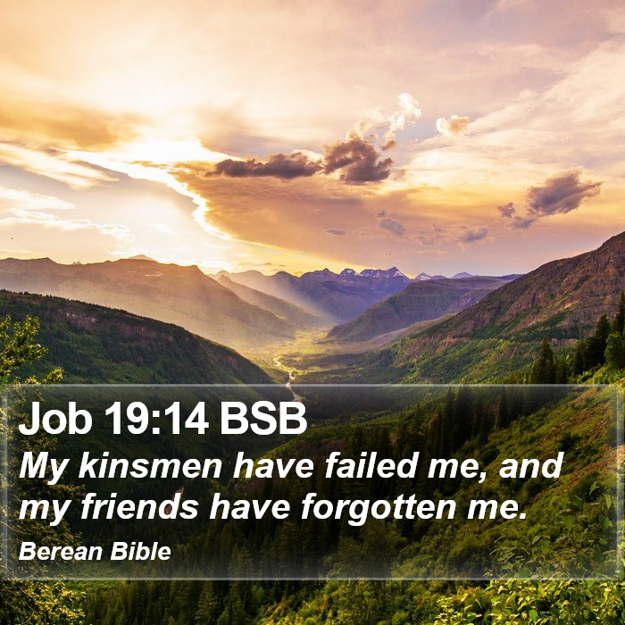 Job 19:14 BSB Bible Study