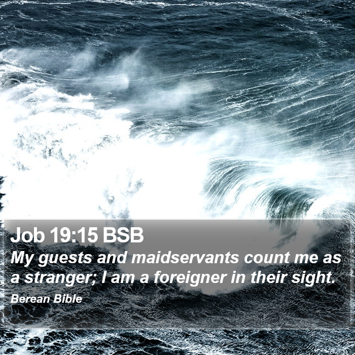 Job 19:15 BSB Bible Study