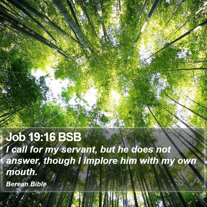 Job 19:16 BSB Bible Study