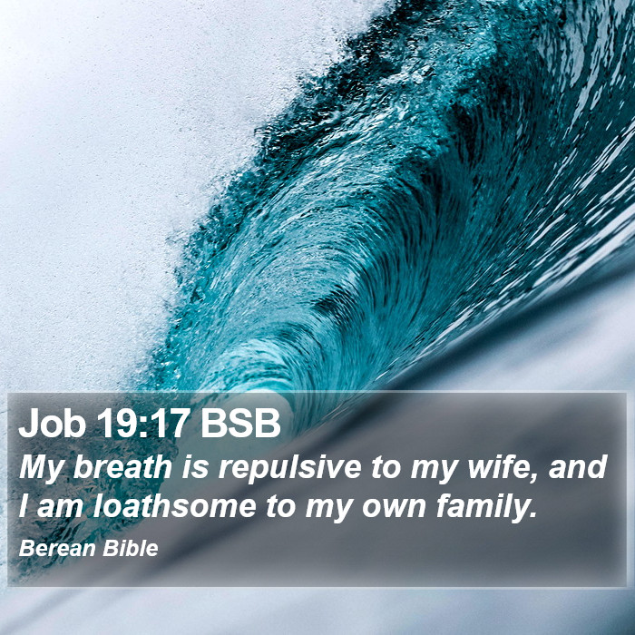 Job 19:17 BSB Bible Study