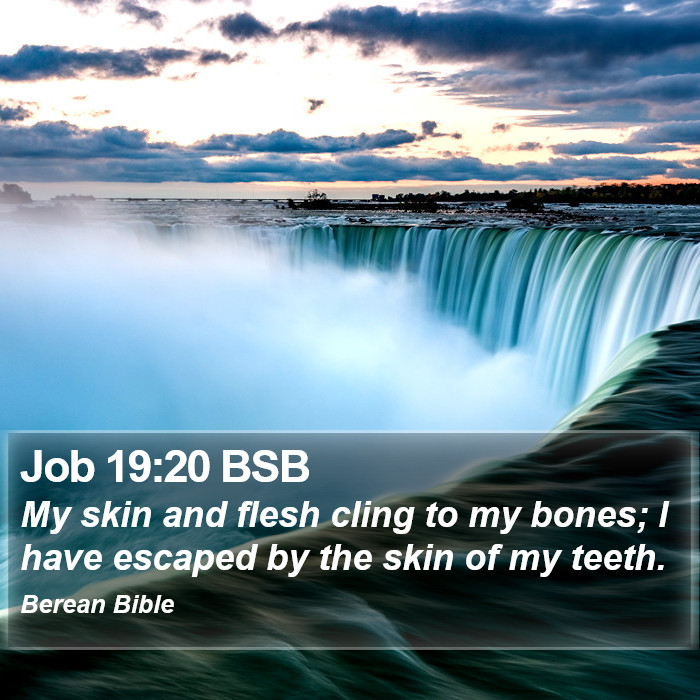 Job 19:20 BSB Bible Study