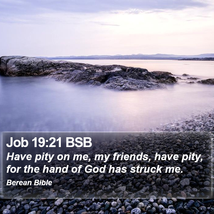 Job 19:21 BSB Bible Study