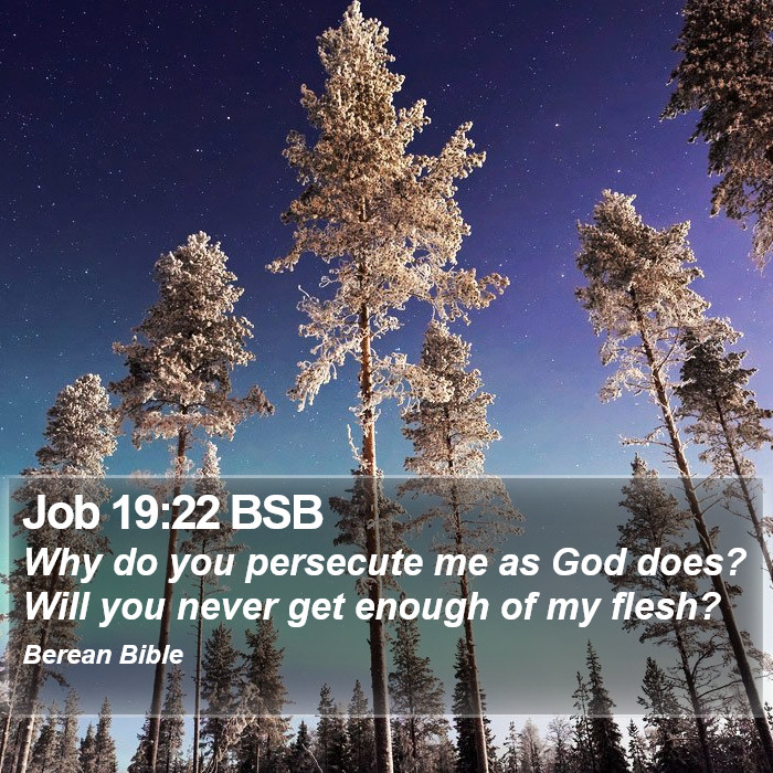 Job 19:22 BSB Bible Study