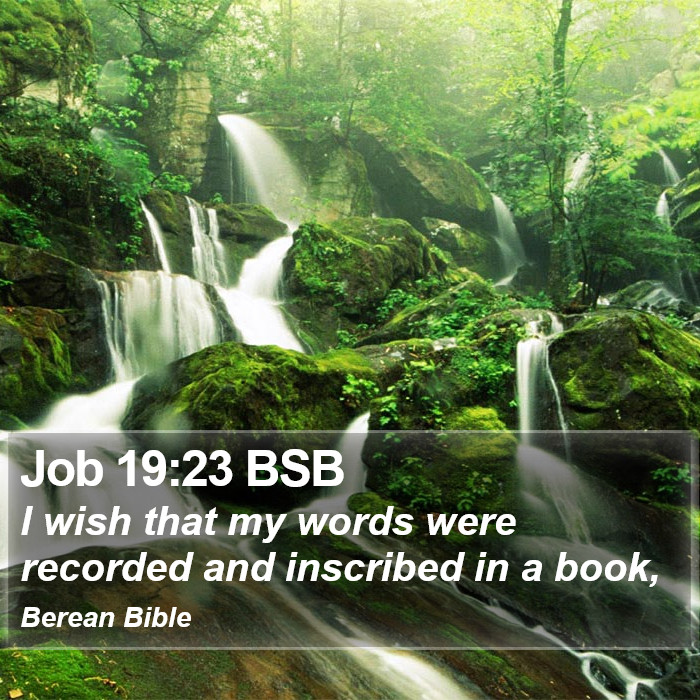 Job 19:23 BSB Bible Study