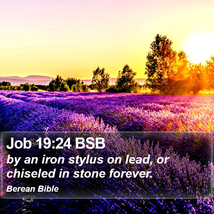 Job 19:24 BSB Bible Study