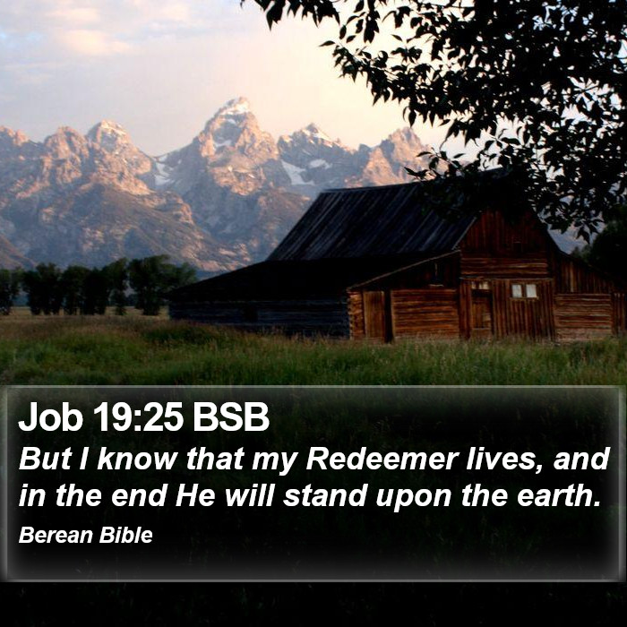 Job 19:25 BSB Bible Study