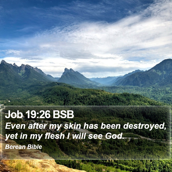 Job 19:26 BSB Bible Study