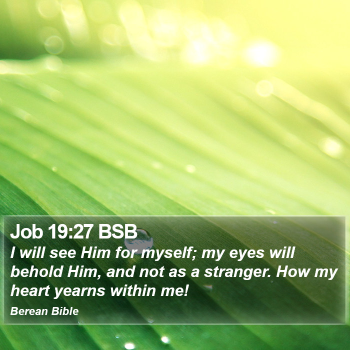 Job 19:27 BSB Bible Study