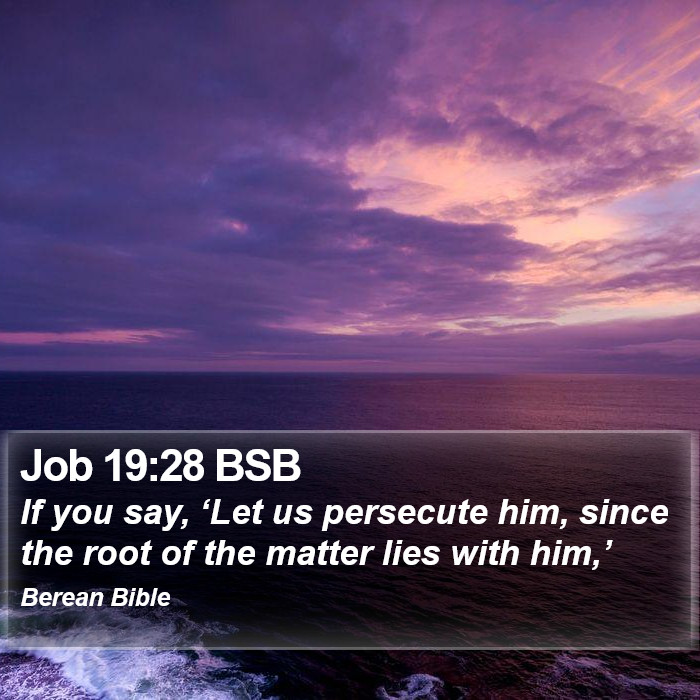 Job 19:28 BSB Bible Study