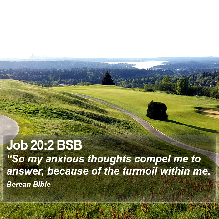 Job 20:2 BSB Bible Study