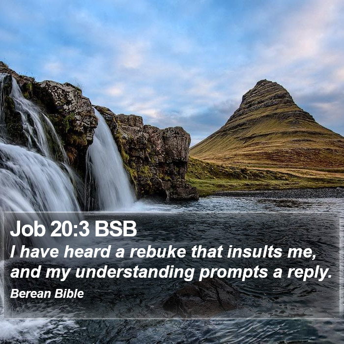 Job 20:3 BSB Bible Study