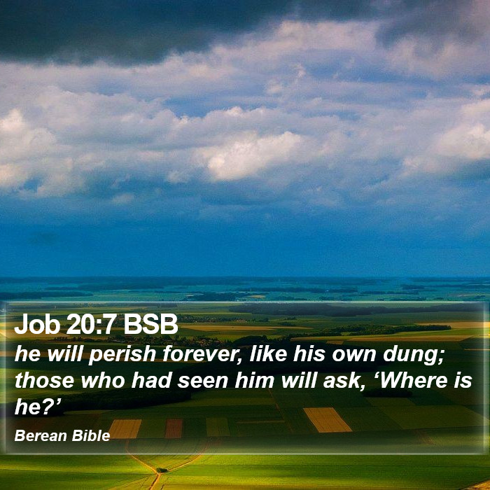 Job 20:7 BSB Bible Study