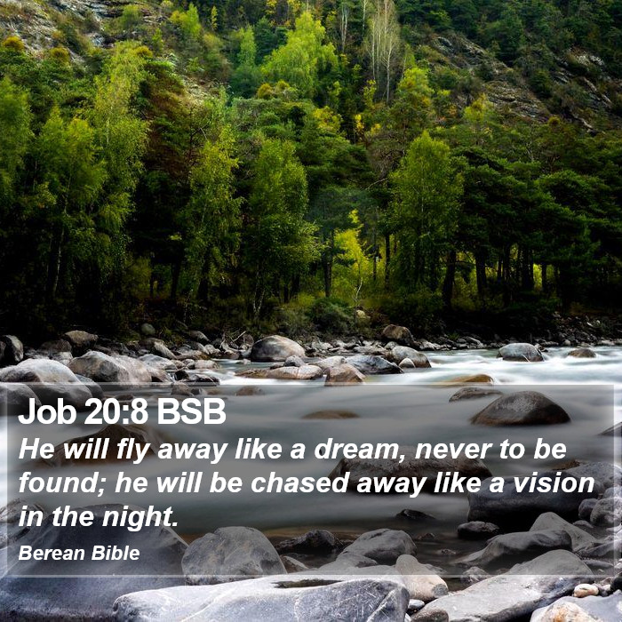 Job 20:8 BSB Bible Study