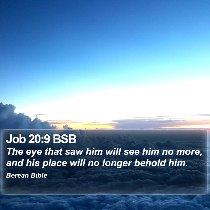 Job 20:9 BSB Bible Study