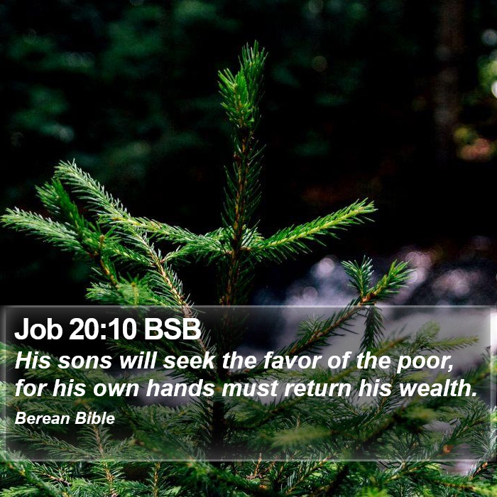 Job 20:10 BSB Bible Study