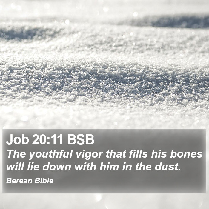 Job 20:11 BSB Bible Study