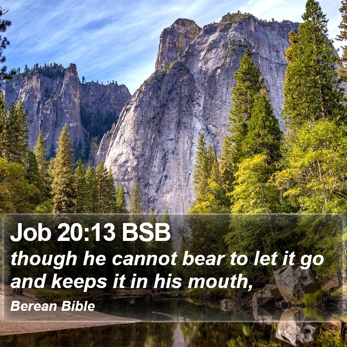 Job 20:13 BSB Bible Study