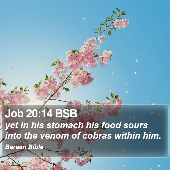 Job 20:14 BSB Bible Study