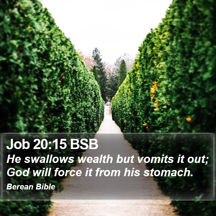 Job 20:15 BSB Bible Study