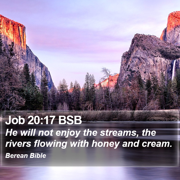 Job 20:17 BSB Bible Study