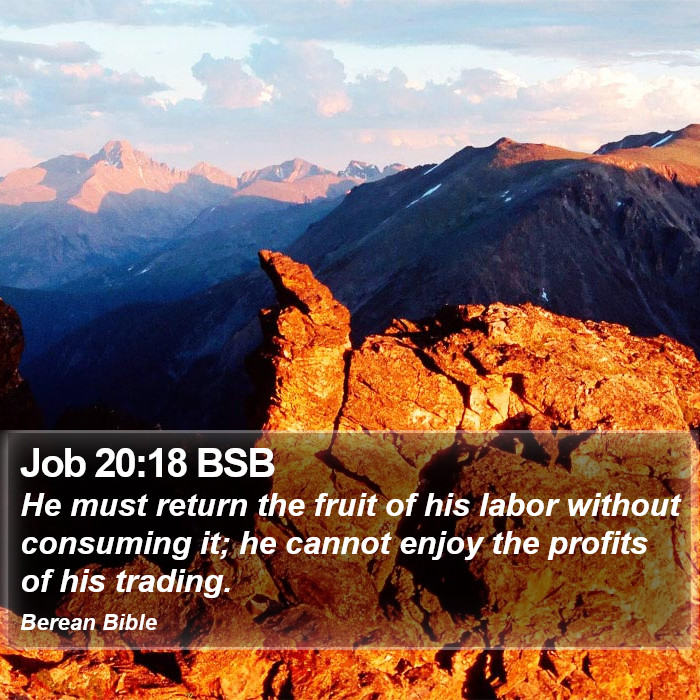 Job 20:18 BSB Bible Study