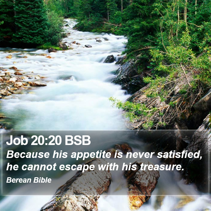 Job 20:20 BSB Bible Study