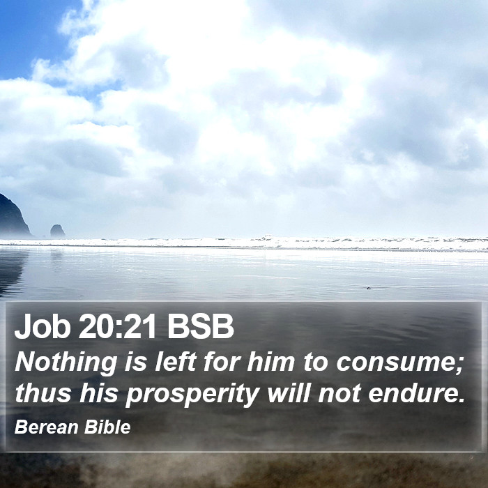 Job 20:21 BSB Bible Study