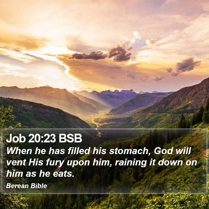 Job 20:23 BSB Bible Study