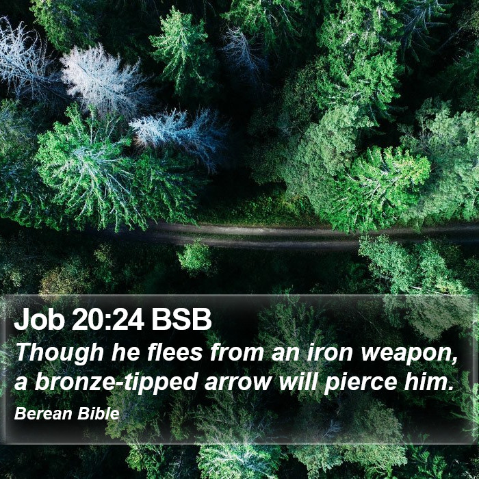 Job 20:24 BSB Bible Study