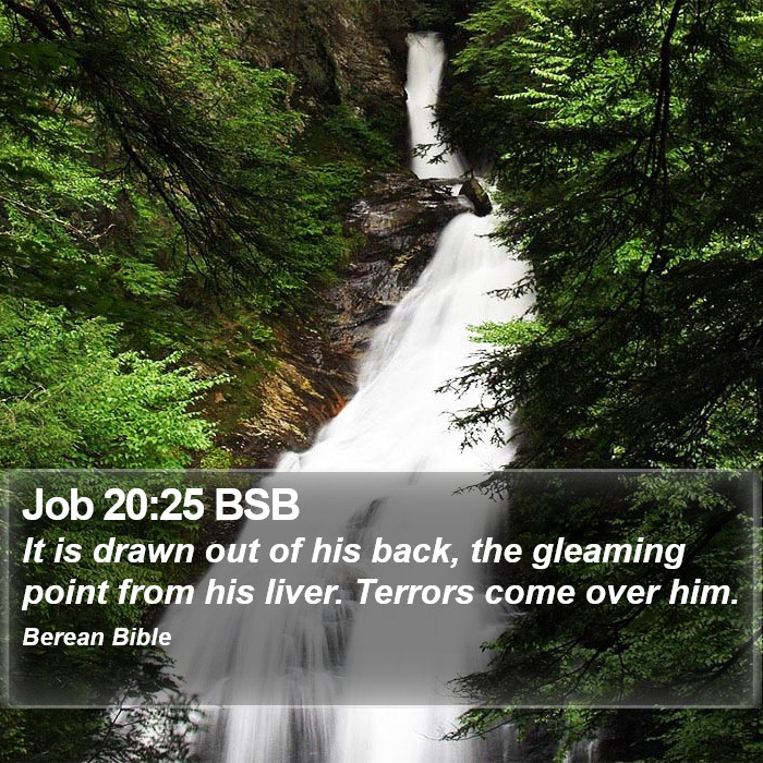 Job 20:25 BSB Bible Study