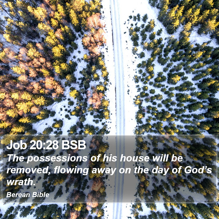 Job 20:28 BSB Bible Study