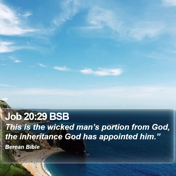 Job 20:29 BSB Bible Study