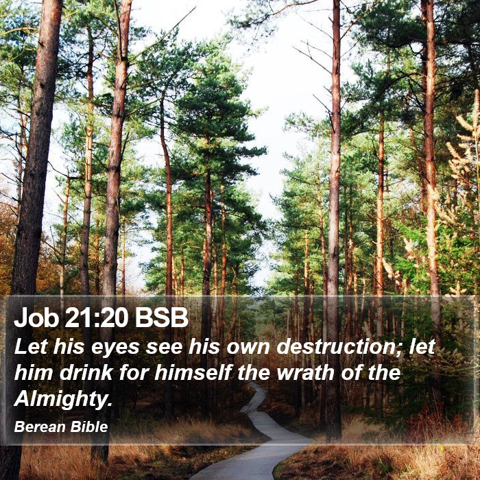 Job 21:20 BSB Bible Study