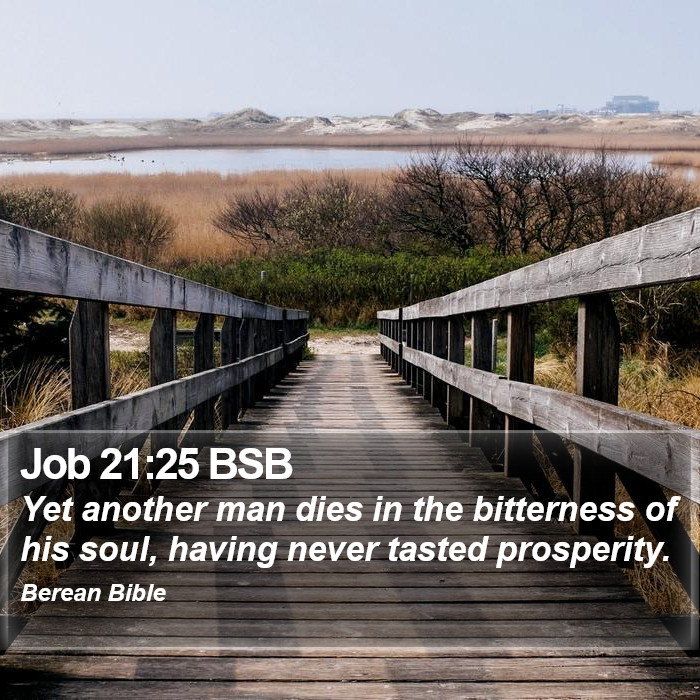 Job 21:25 BSB Bible Study