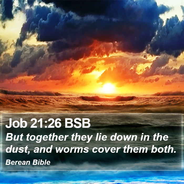 Job 21:26 BSB Bible Study