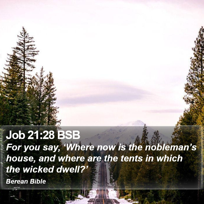 Job 21:28 BSB Bible Study